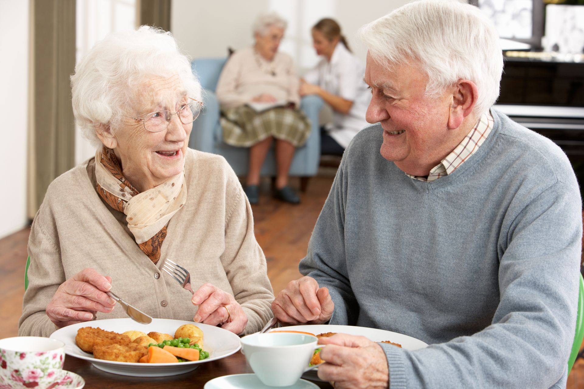 Two seniors enjoy a festive meal together at a communal table, smiling and engaging in conversation. Other seniors and a caregiver are visible in the background, celebrating healthy holiday eating.