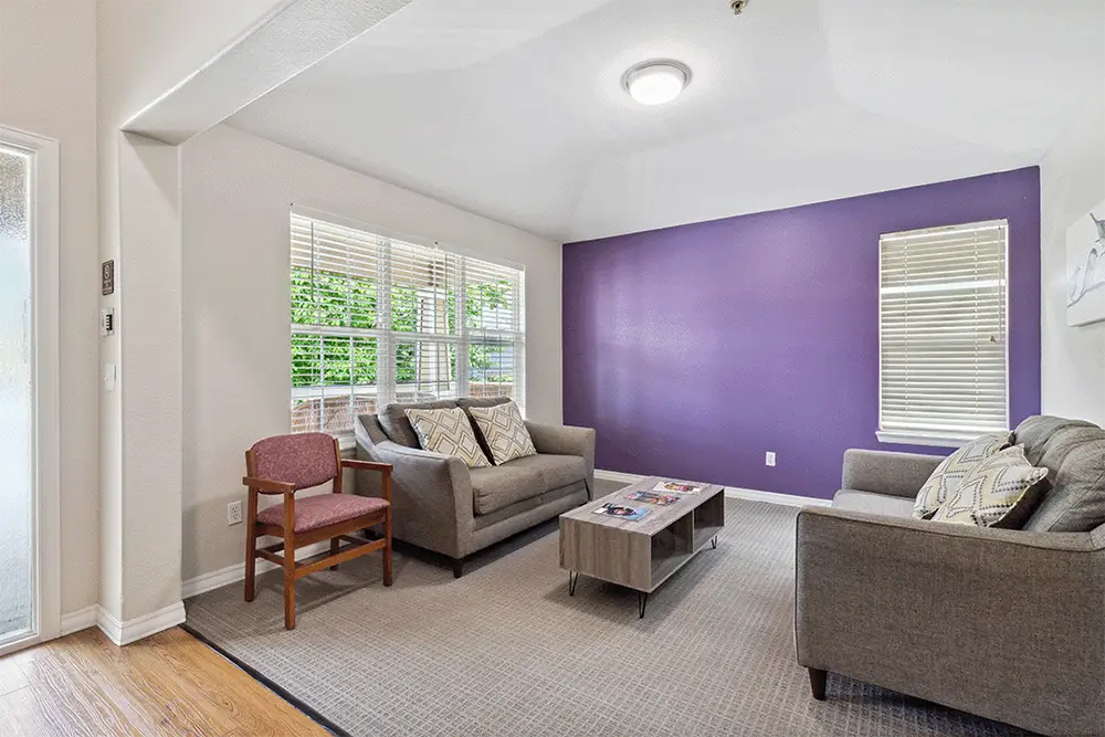 Living room with two gray sofas, a wooden chair, coffee table, beige carpet, large windows, and a purple accent wall.