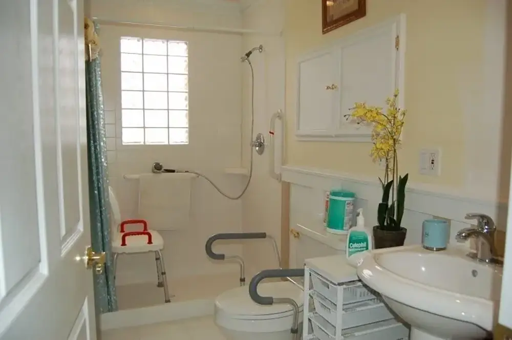 Accessible bathroom with shower seat, grab bars, raised toilet, sink, storage drawers, toilet paper, cleaning supplies, and a yellow orchid plant on the shelf.