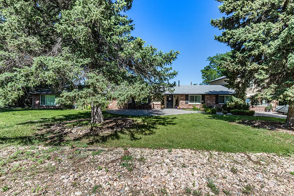 Single-story brick house with a driveway, large front yard, and several tall evergreen trees under a clear blue sky.