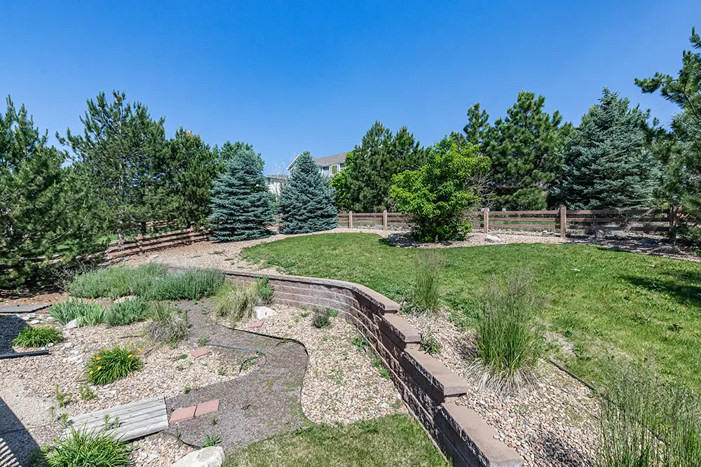 Backyard with green lawn, stone retaining walls, gravel landscaping, and pine trees along a wooden fence under a clear blue sky.