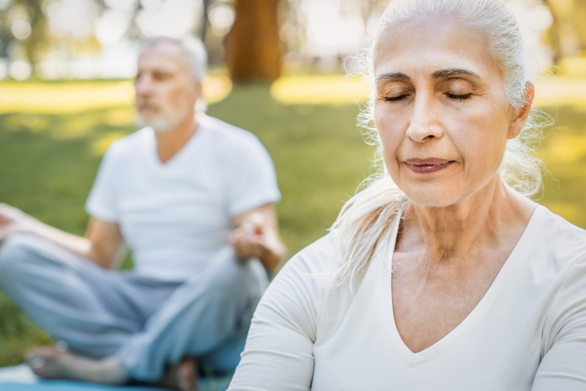 Exploring the Benefits of Mindfulness in Reducing Stress and Improving Mood Among Seniors cover