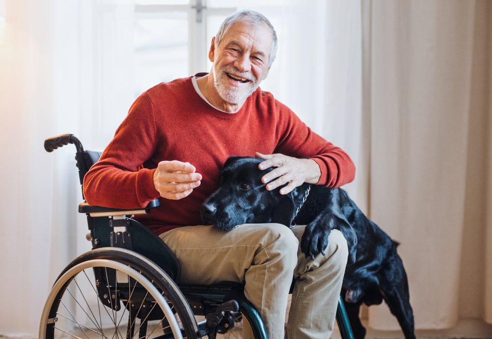 Navigating Pet Ownership in an Assisted Living Facility: Emotional and Practical Considerations cover