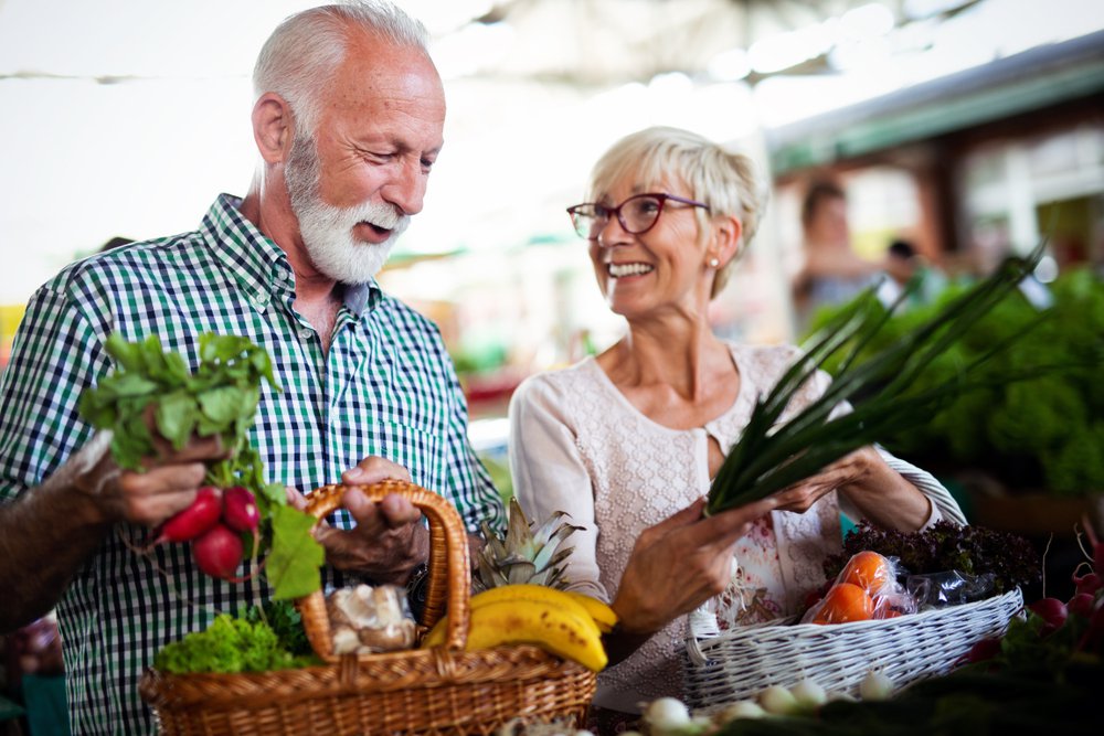 The Gut-Brain Connection in Seniors: Can Diet Influence Cognitive Decline? cover