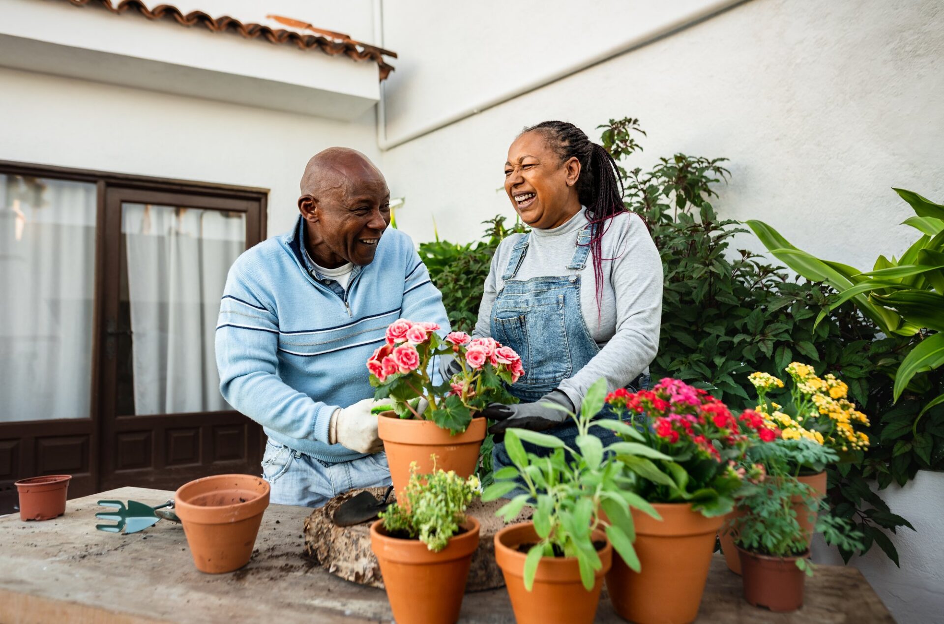 Gardening for Seniors: Benefits and Accessible Gardening Ideas in Assisted Living cover