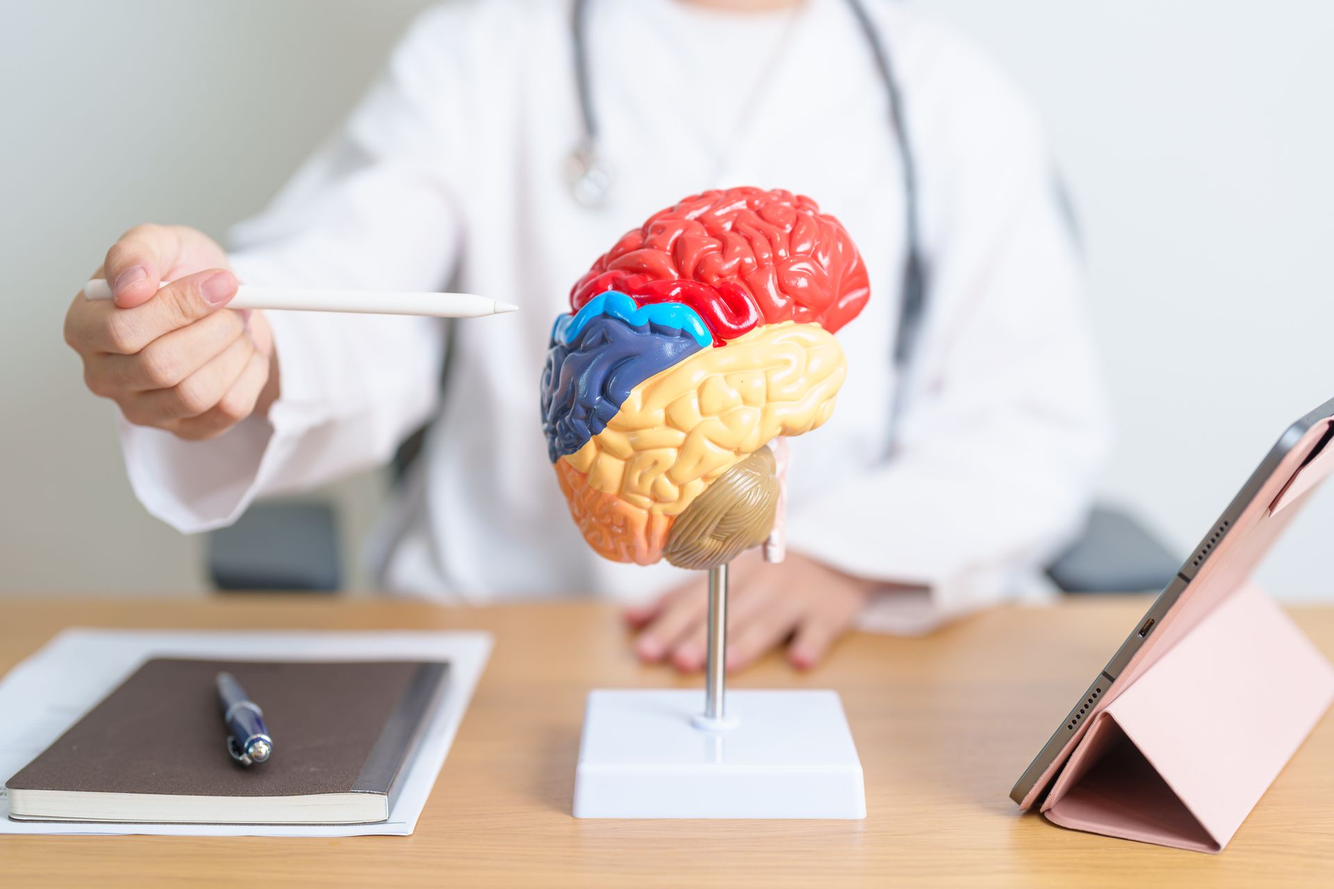 A person in a white coat points at a model of a human brain on a desk, illustrating dementia diagnosis. Nearby are a notebook, pen, and tablet, highlighting tools used in dementia care and support.